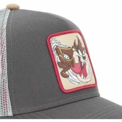Capslab Casquette adulte Looney Tunes Taz for Accessoires textile Couleur Gris 5 Capslab Casquette adulte Looney Tunes Taz for Accessoires textile Couleur Gris -Capslab Soldes Magasin 23447714 500 C